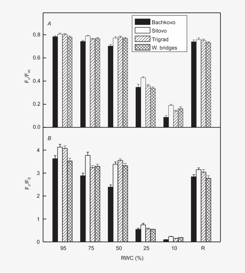 Changes In The Maximum Quantum Yield Of Psii Photochemistry - Commercial Building, transparent png download