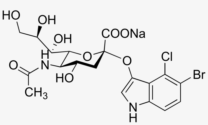5 Bromo 4 Chloro 3 Indolyl Α D N Acetylneuraminic - 4 Methylbenzaldehyde, transparent png download
