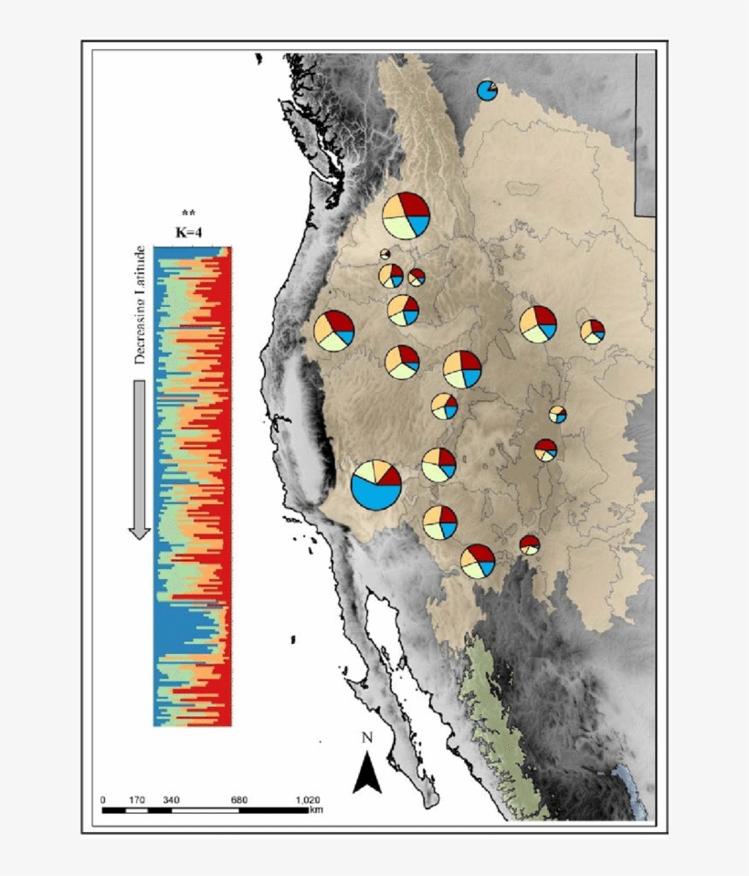 Sampling Sites Of The Hunt Bumble Bee In The Usa/canada - Hunt's Bumblebee, transparent png download