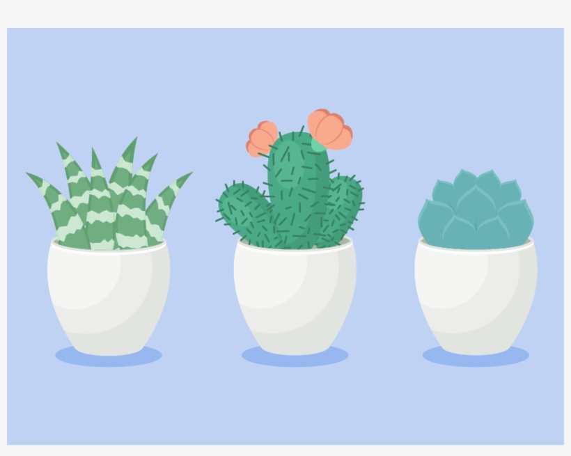 Succulents Illustration - Portable Network Graphics, transparent png download