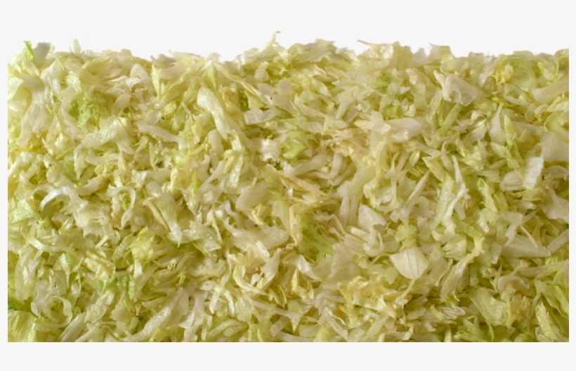 Lettuce Clipart Chopped Grass PNG Image Transparent PNG Free