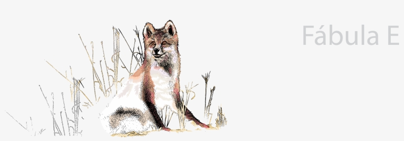 Deuda Saldada Fábula Emprendedora El Perro Y El Lobo - Swift Fox, transparent png download