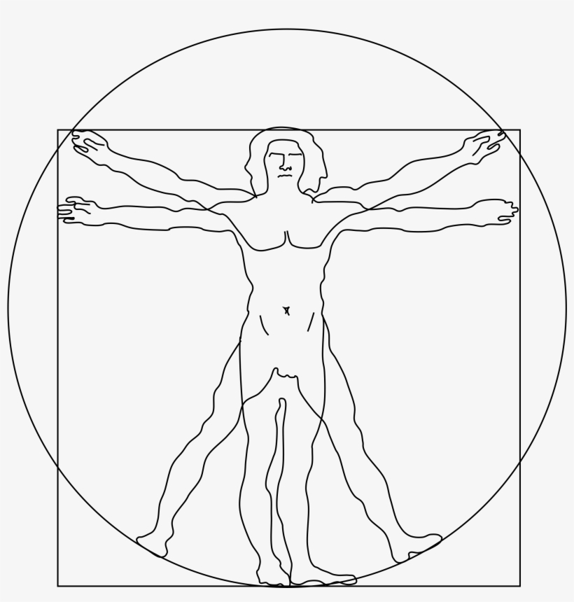 This Free Icons Png Design Of Vitruvian Man, transparent png download