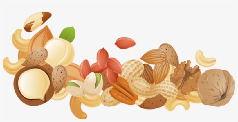 Free Png Nuts Png Images Transparent - Nuts Background, transparent png download