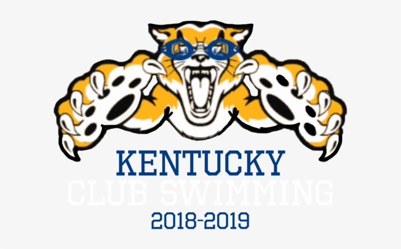 Wildcat Png, transparent png download