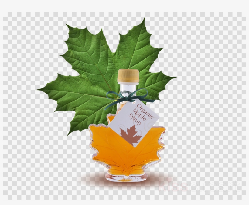 Green Maple Leaf Clipart Pancake Canadian Cuisine Maple - Maple, transparent png download