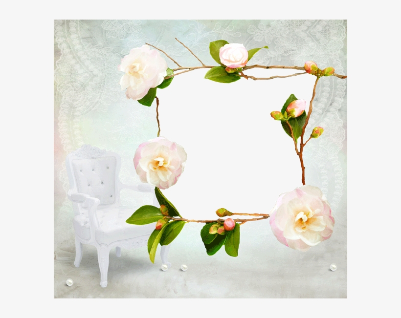 Flores Para Fotografias Borders For Paper, Nature Plants, - Garden Roses, transparent png download