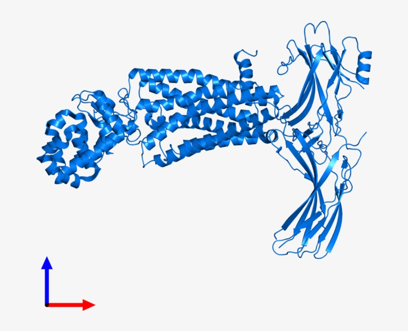 <div Class='caption-body'>pdb Entry 4zwj Contains 1 - Graphic Design, transparent png download