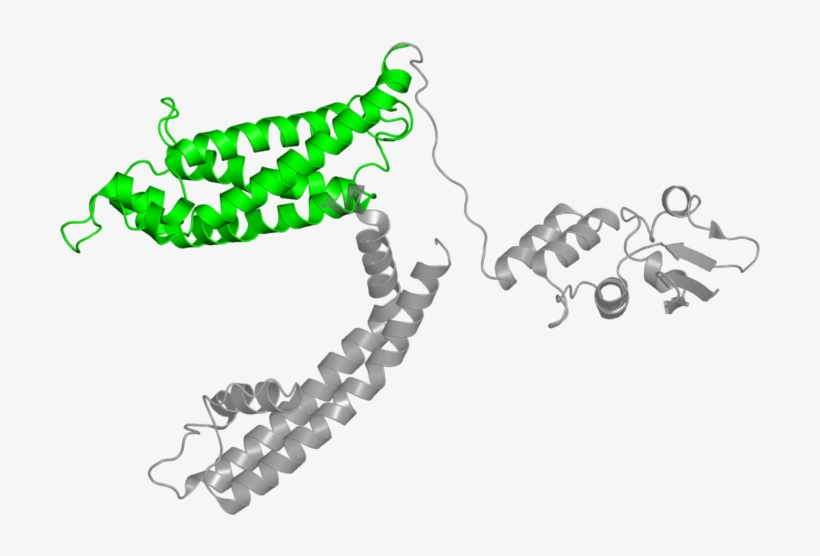 <div Class='caption-body'>1 Copy Of Cath Domain - Illustration, transparent png download