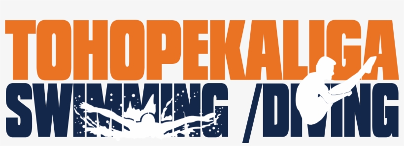Swim And Dive Banner - Diving, transparent png download