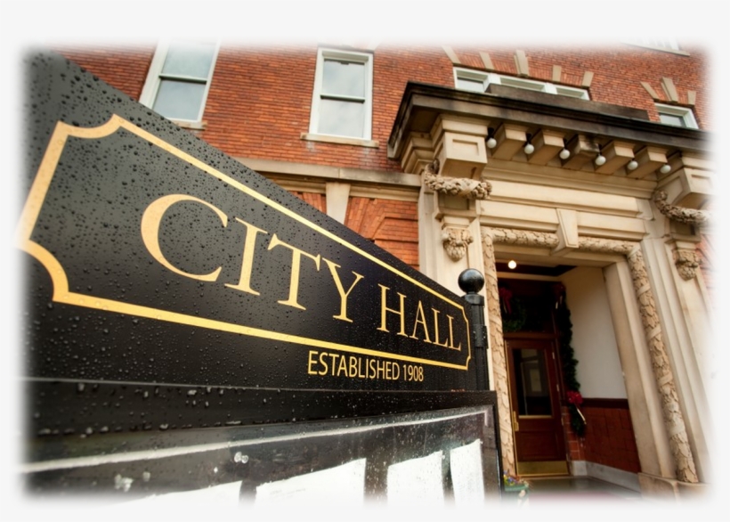 Neddy, Research Paper On Poems - Local Government In South Africa, transparent png download