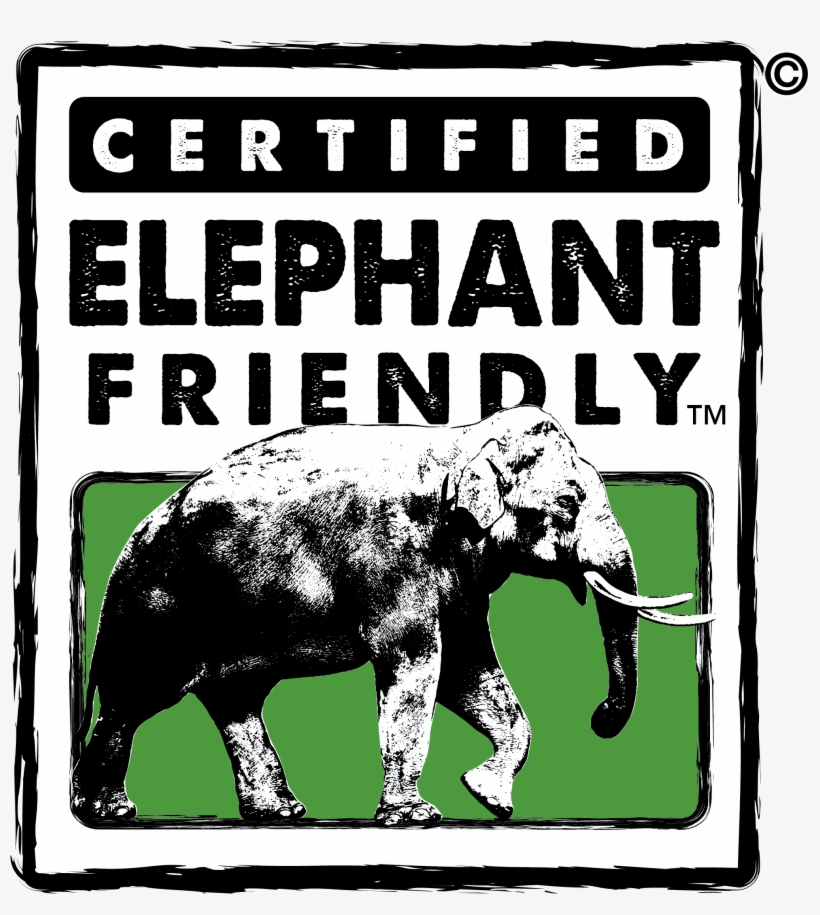 Tea Companies Invited To Join Elephant Conservation - Elephant, transparent png download