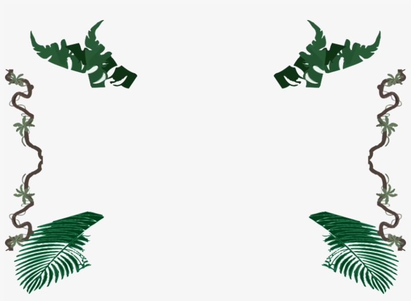 Amazon Fishing Videos - Rainforest Frames, transparent png download