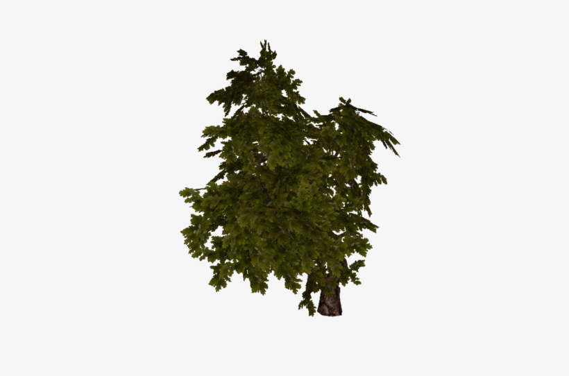It's Bushier Than George Bush A Pack Of Two Bushes,, transparent png download