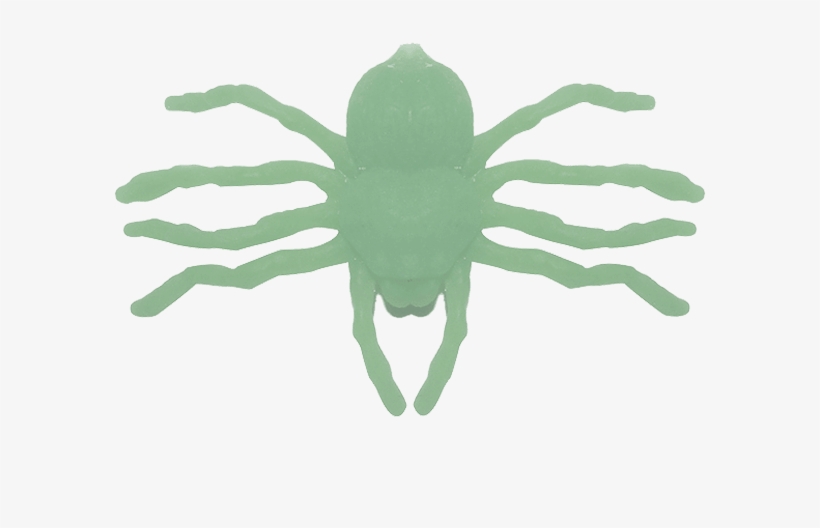 Previous - Next - Wolf Spider, transparent png download