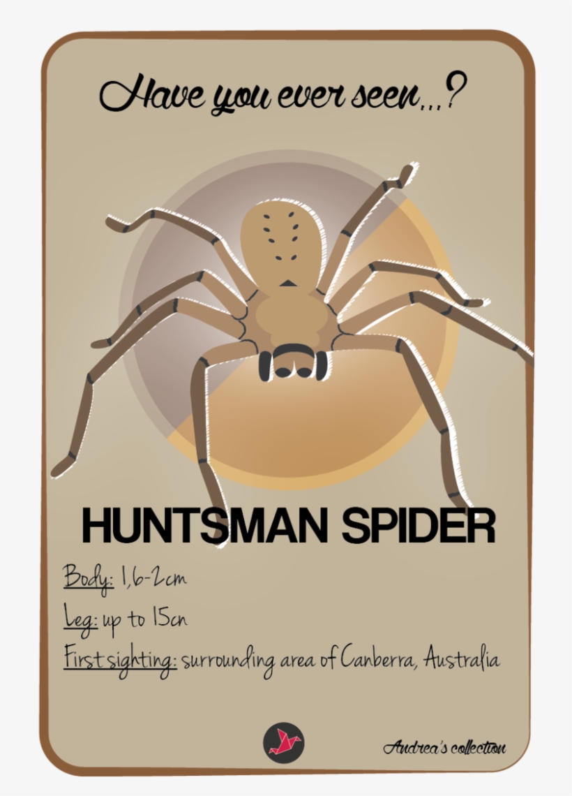 Have You Ever Seen - Man On A Wire, transparent png download