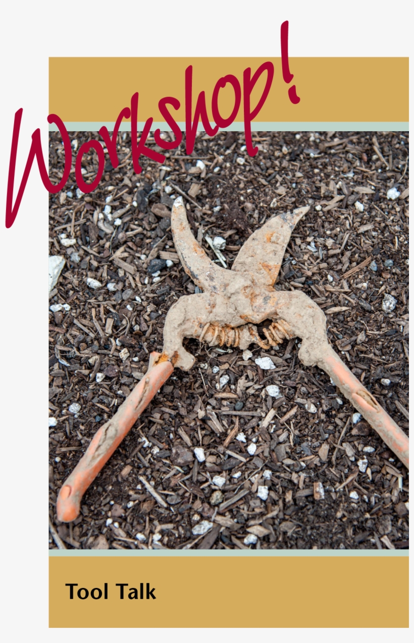 Apple On Tree - Crab, transparent png download