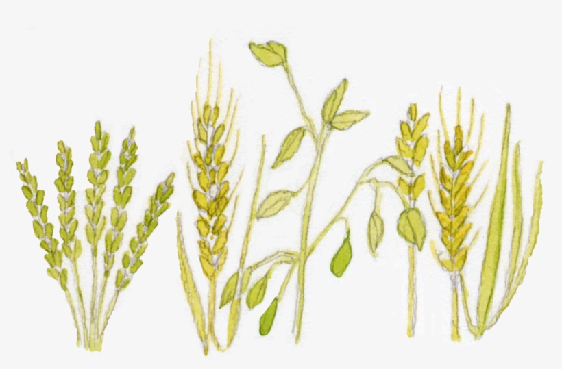 8 - Portable Network Graphics, transparent png download