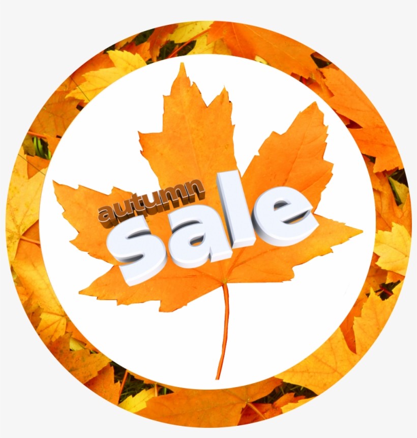 Autumn Sale - Autumn, transparent png download