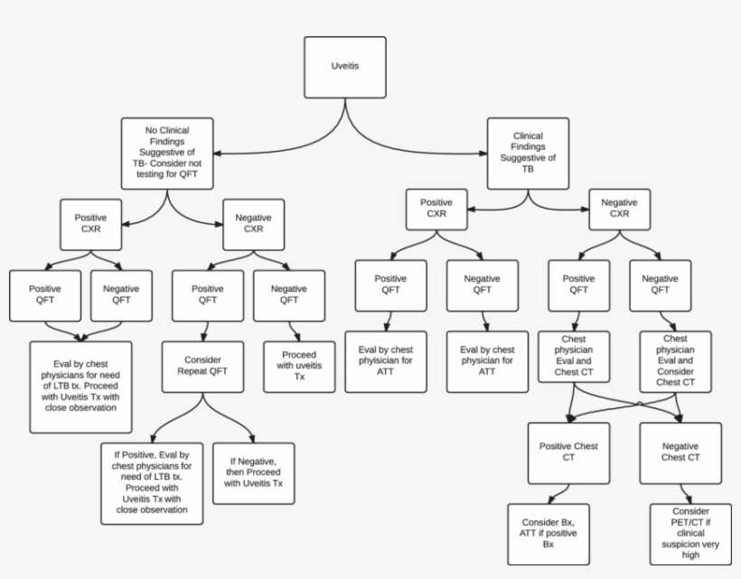 Recommended Treatment Algorithm In Patients With Uveitis - Tuberculosis, transparent png download