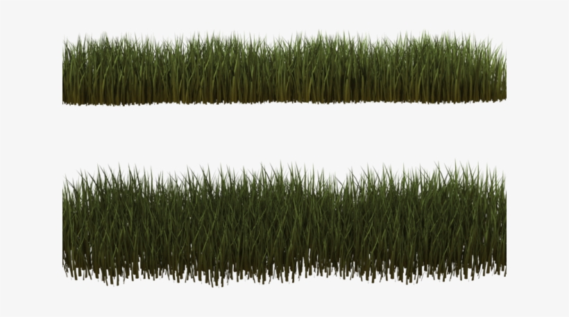 Grass Clipart Transparent Background - Grass Clumps Png, transparent png download