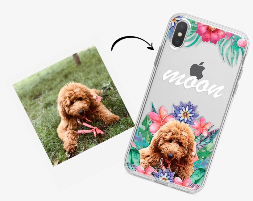 Banner-mascotas - Pet, transparent png download