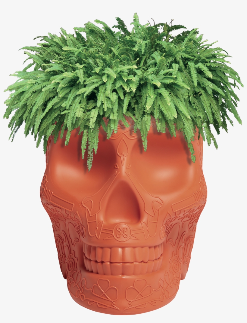 10 Qeeboo Mexico Planter Champagne Cooler By Studio - Qeeboo Skull Planter, transparent png download