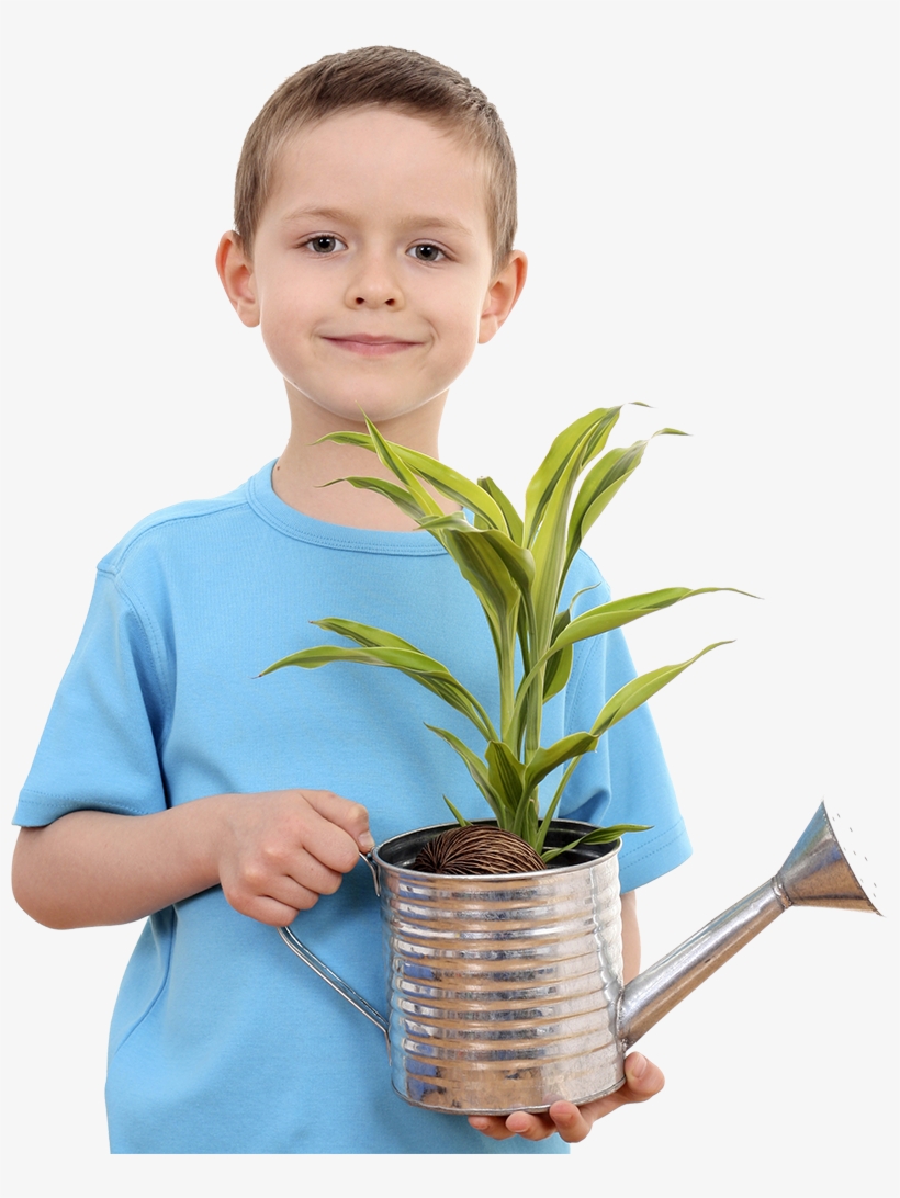 Birthday Buddies - Child Planting Png, transparent png download