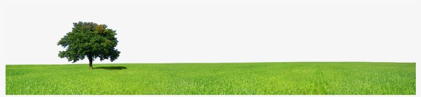 Go To Image - Green Computing, transparent png download