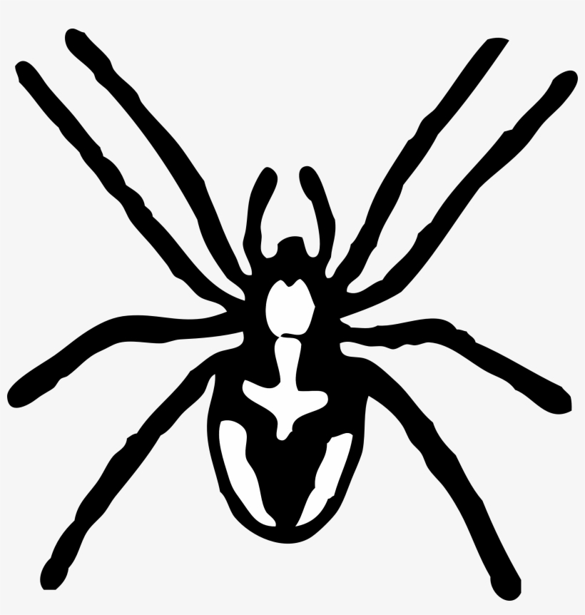 Bleck Clipart Spider 3 Black And White - Spider Clipart, transparent png download