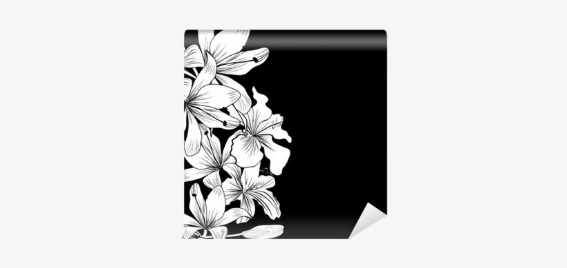 Black And White Background With White Flowers Wall - Black And White Flower, transparent png download