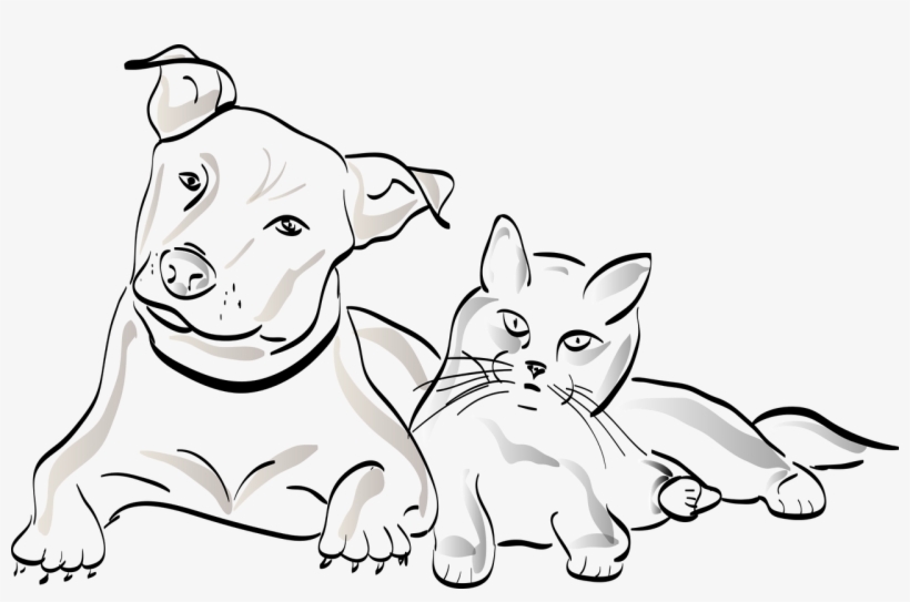 Why Dogs Kills Cats - Dog, transparent png download