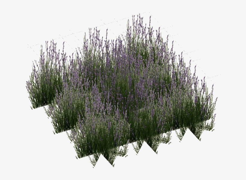 Long Grass - Portable Network Graphics, transparent png download