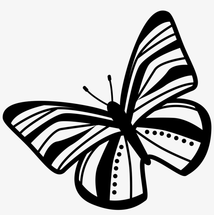 Butterfly Striped Wings Top View Rotated To Left Comments - Butterfly, transparent png download