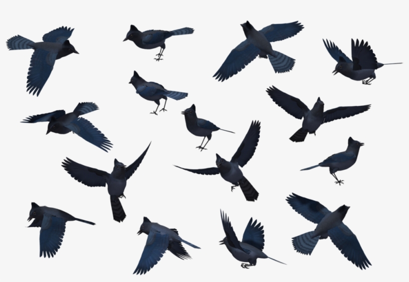 Bluejay Drawing Stellar Jay Png Library Stock - Blue Jay Silhouette, transparent png download