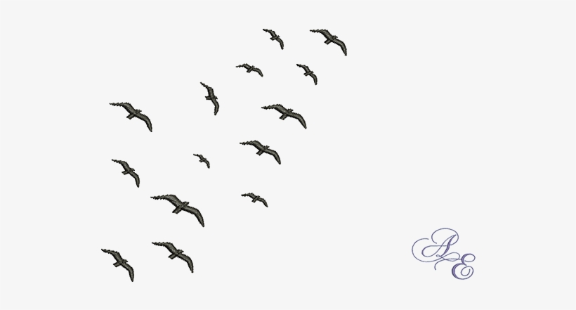 Small Flock Of Birds3 - Bird, transparent png download
