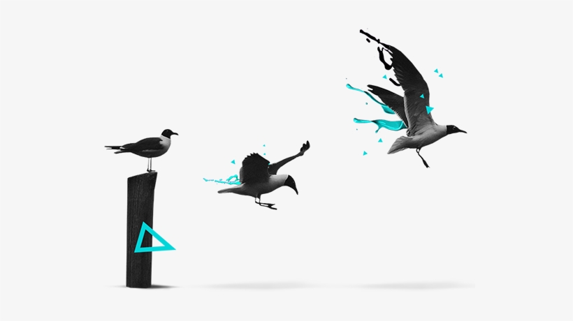 Having A Comprehensive Offer Means That We Can Not - Learning To Fly, transparent png download