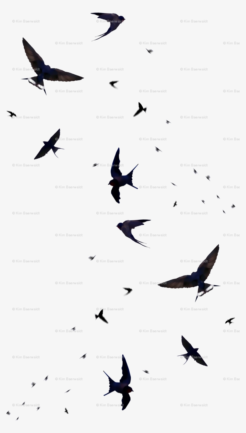 Textile, transparent png download