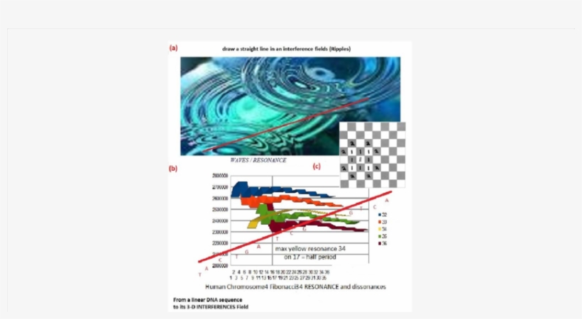 An Analogy Comparing 3 D ==> 1 D Transition Line In - Ronds Dans L Eau, transparent png download