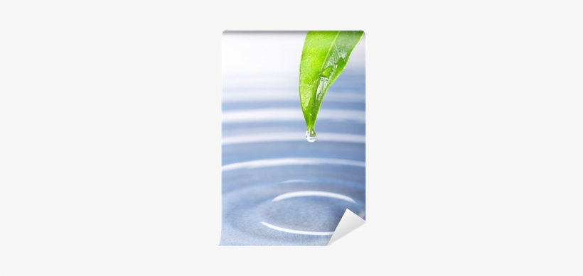 Drop, transparent png download