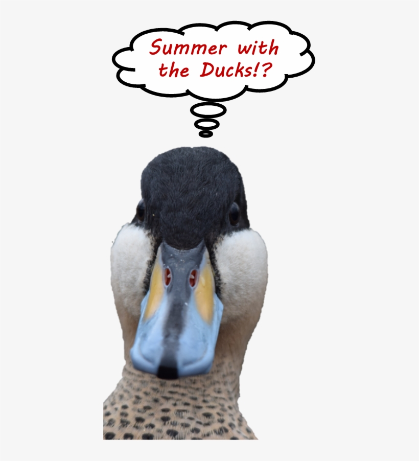 2016 Programs - Logic, transparent png download