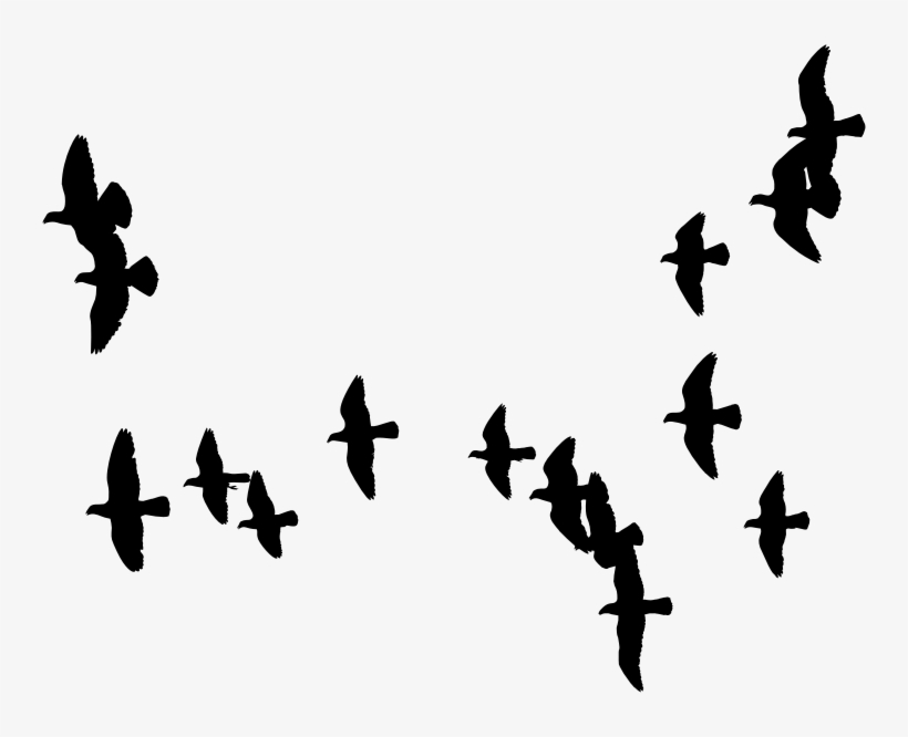 Musing: Reflection In Poetry, transparent png download