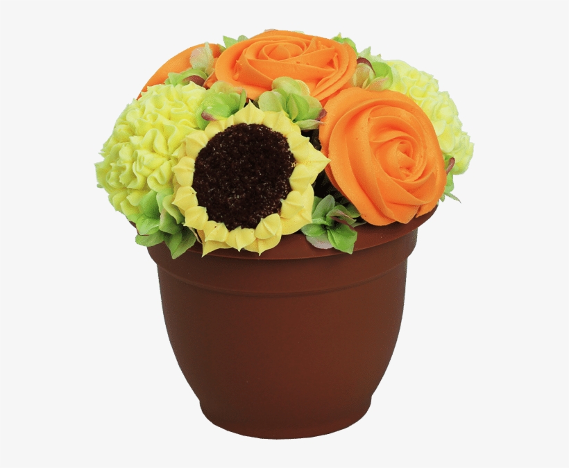 Persian Buttercup, transparent png download