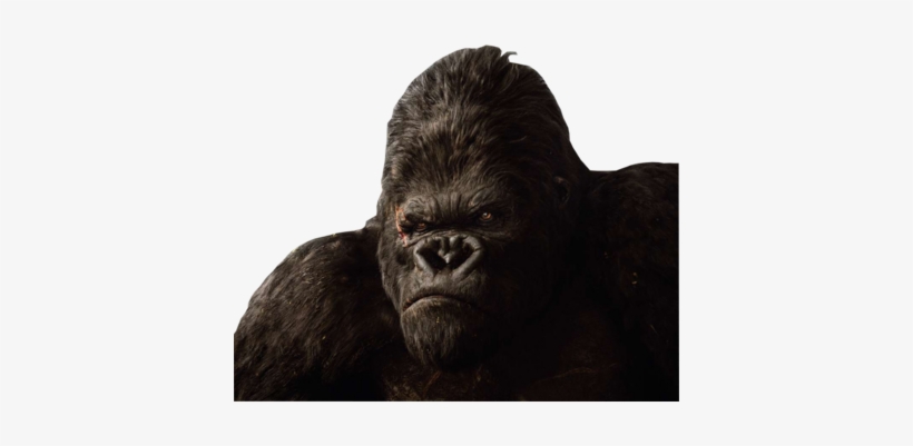 King Kong Psd30837 - King Kong 2005, transparent png download
