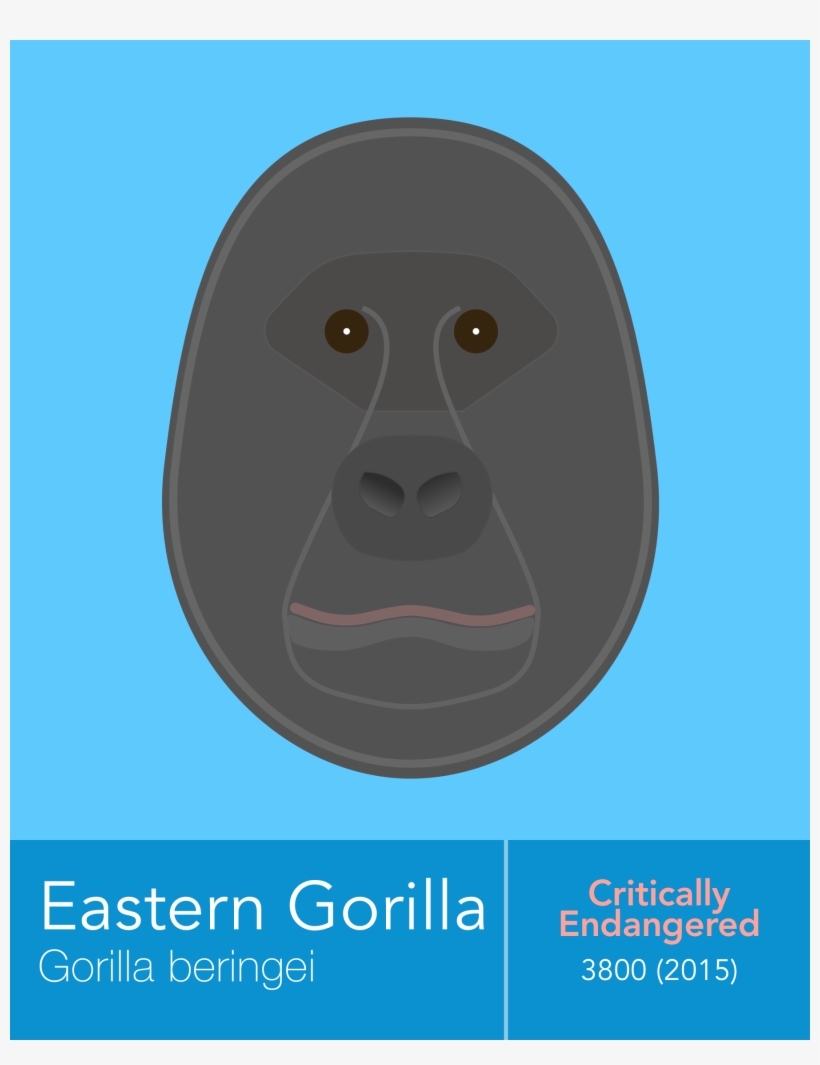 7- Eastern Gorilla - Poster, transparent png download
