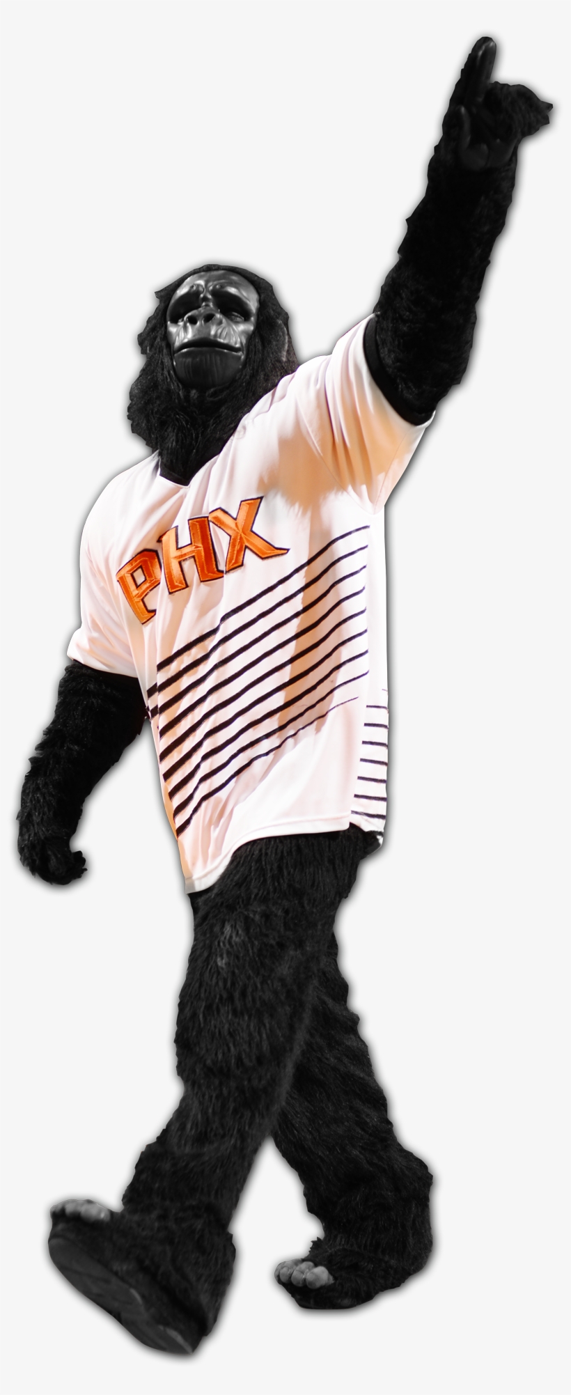 Stars Gorilla - Suns Mascot Png, transparent png download