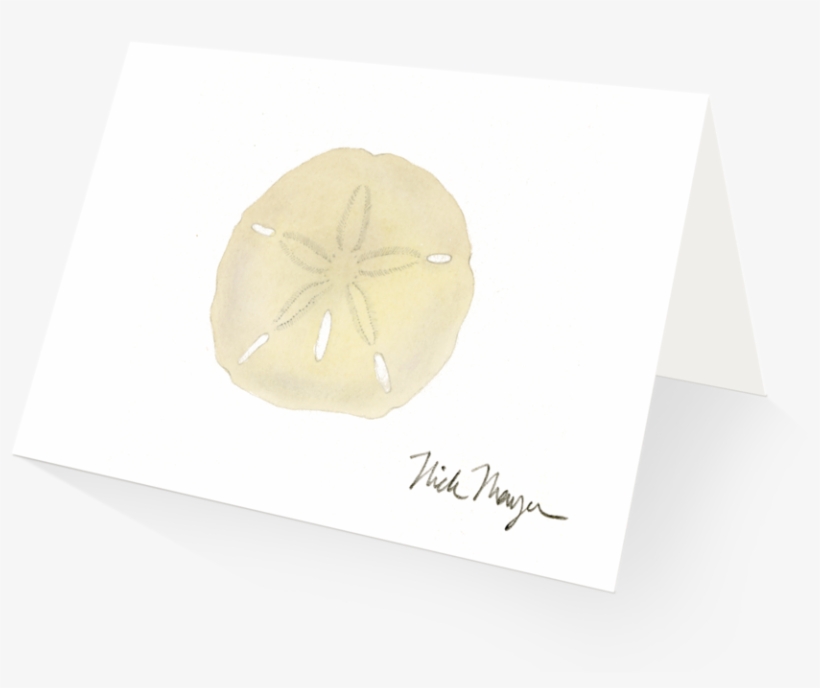 Ivory Sand Dollar - Sand Dollar, transparent png download