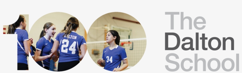 About - Volleyball, transparent png download