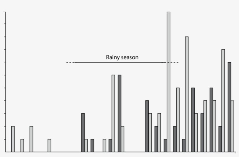 Numbers Of The Sand Dollar, Mellitella Stokesii And - Diagram, transparent png download