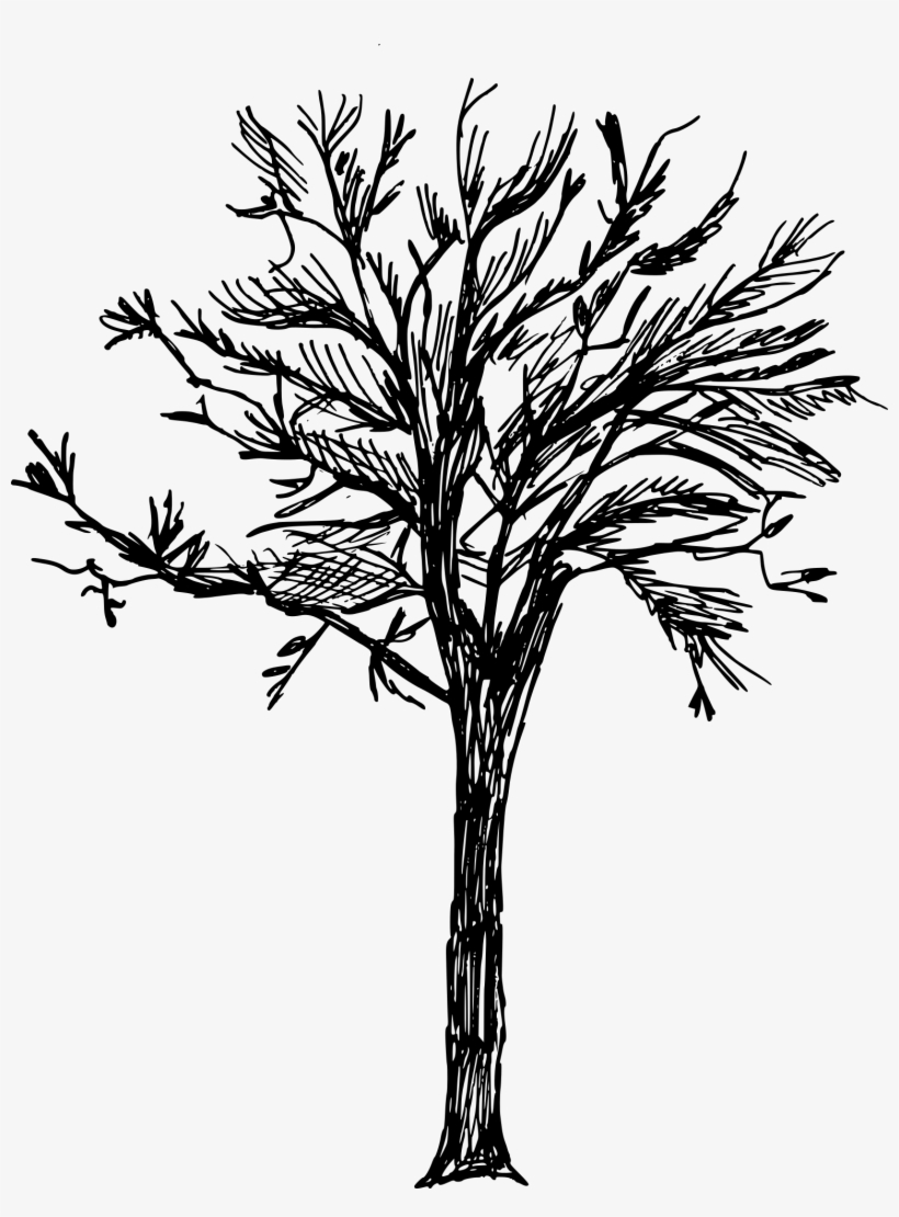 Free Download - Png Tree, transparent png download